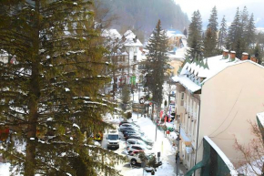 Central Park View Sinaia
